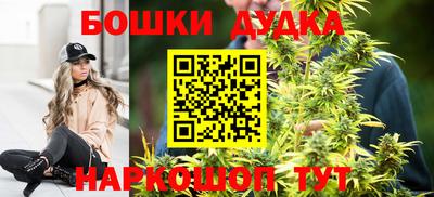 мдпв Гай