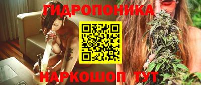 соль ск Гатчина