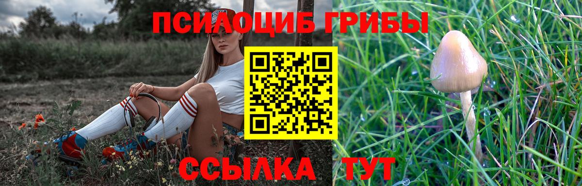 как найти закладки  Галлюциногенные грибы GOLDEN TEACHER  Псилоцибиновые грибы прущие грибы  Вход с VPN  Нефтекумск 