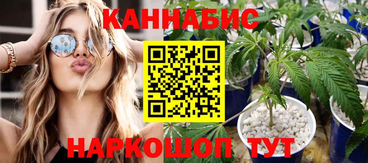 Бошки Шишки план  Конопля конопля  Нефтекумск  Вход с VPN  Бошки Шишки конопля 